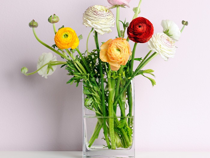 Ajoutez une branche unique dans un vase rectangulaire et vous obtiendrez un décor contemporain.